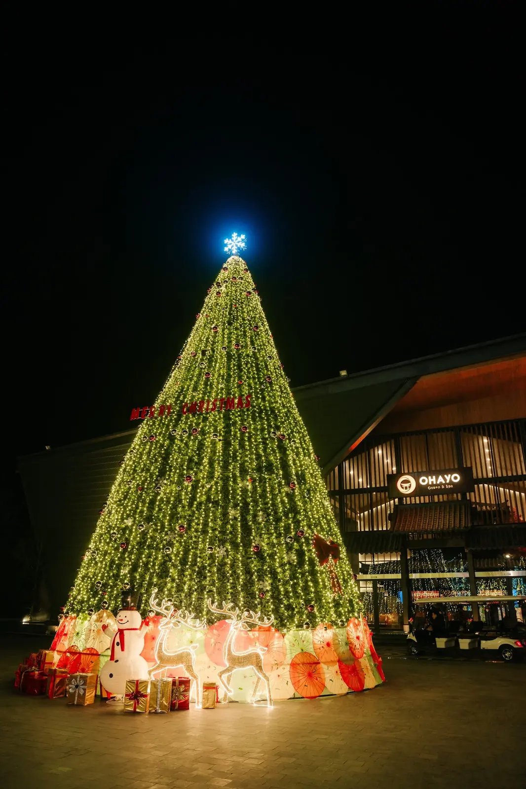 Cây thông Noel phát sáng trước Ohayo Onsen & Spa dịp cuối năm – Lynntimes Thanh Thủy