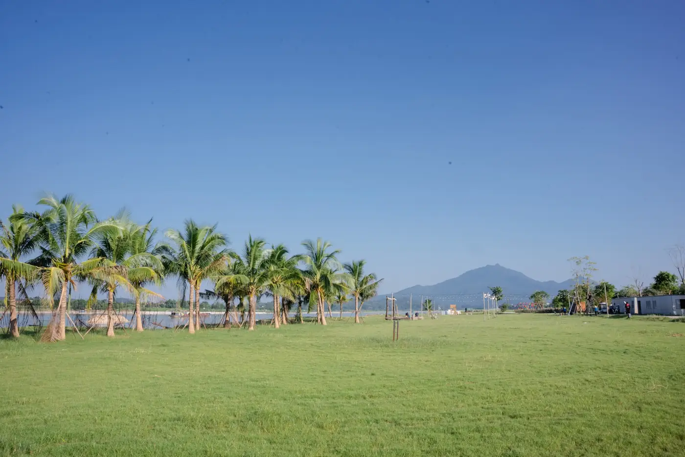 Bãi cỏ rộng ven sông Đà với hàng dừa, núi Ba Vì phía xa – Thanh Thủy Camping, Lynntimes Thanh Thủy