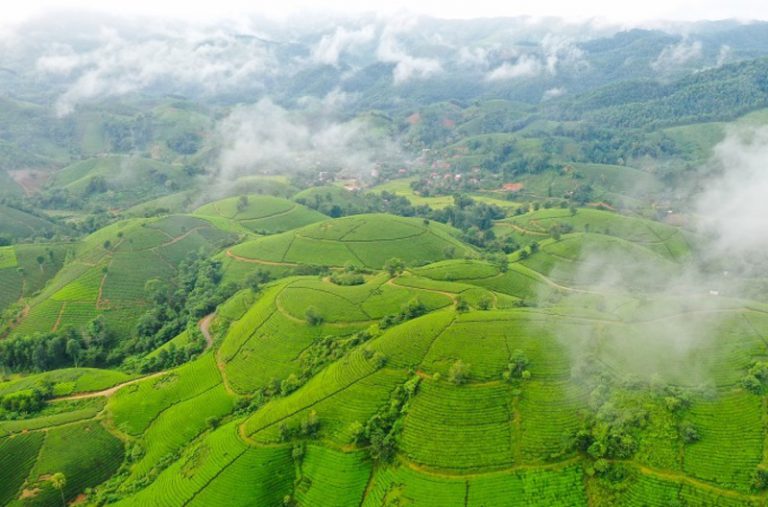 Top 10 khu du lịch sinh thái ở Phú Thọ đẹp và thu hút du khách nhất