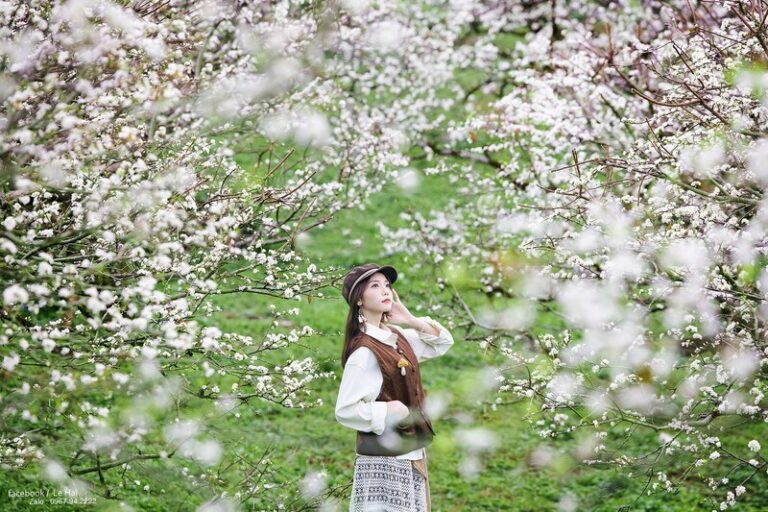 Du lịch miền Bắc tháng 12 nên đi đâu? Top 15+ địa điểm không thể bỏ lỡ