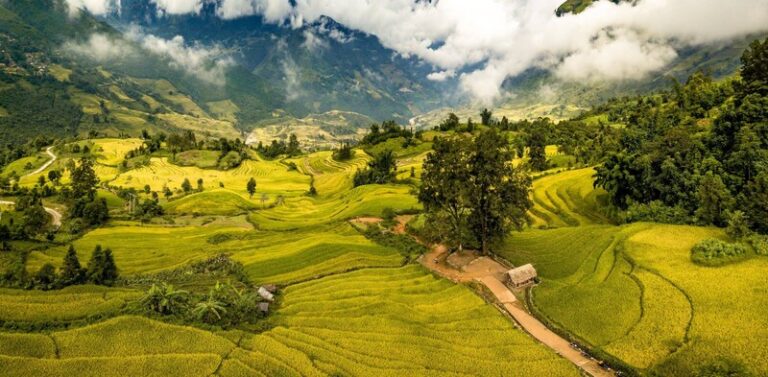 Cẩm nang du lịch Y Tý: Kinh nghiệm săn mây và ngắm lúa chín từ A-Z